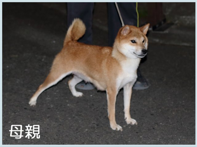 2015.9.14haha 2015.9.14haha