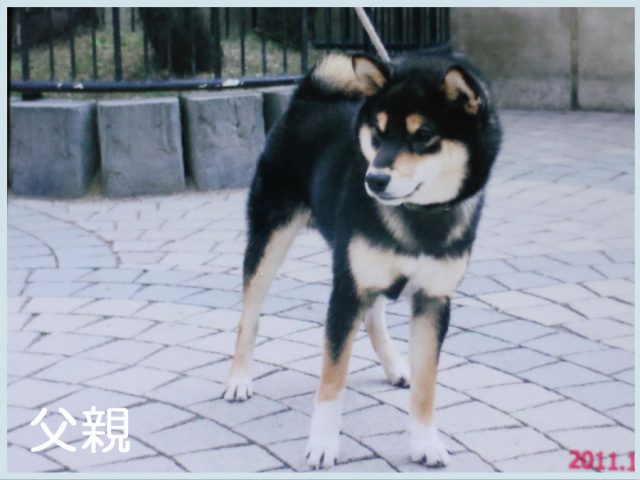 2015.9.14titi 2015.9.14titi
