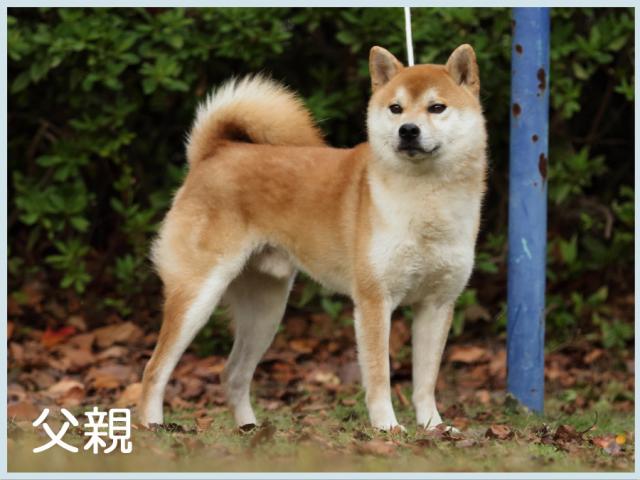 2018.12.13titi 2018.12.13titi