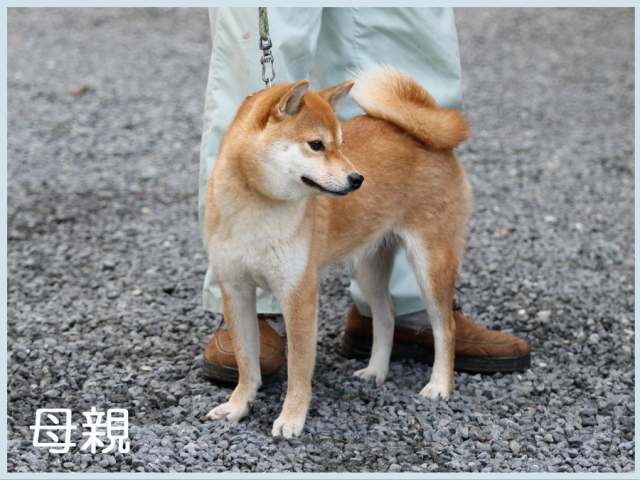2015.10.9haha香里号 2015.10.9haha香里号