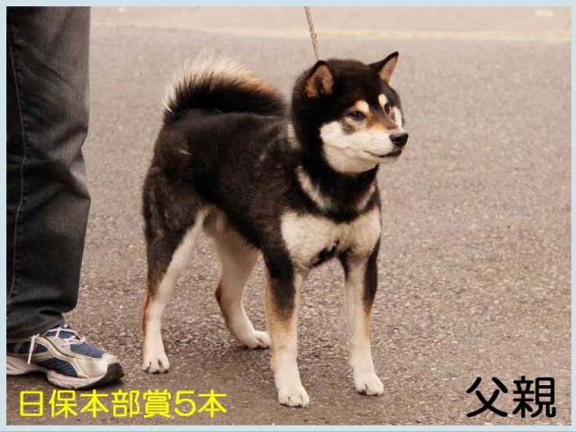 緑竜号 緑竜号