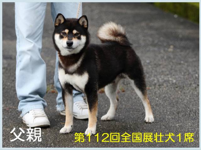黒不動号 黒不動号
