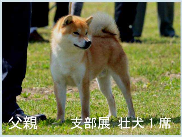 那須の葵竜号3 那須の葵竜号3