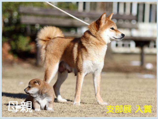 2015.12.20山田乃紗希号 2015.12.20山田乃紗希号