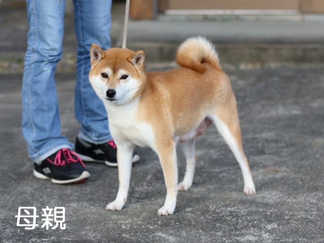 2015.12.10haha 2015.12.10haha