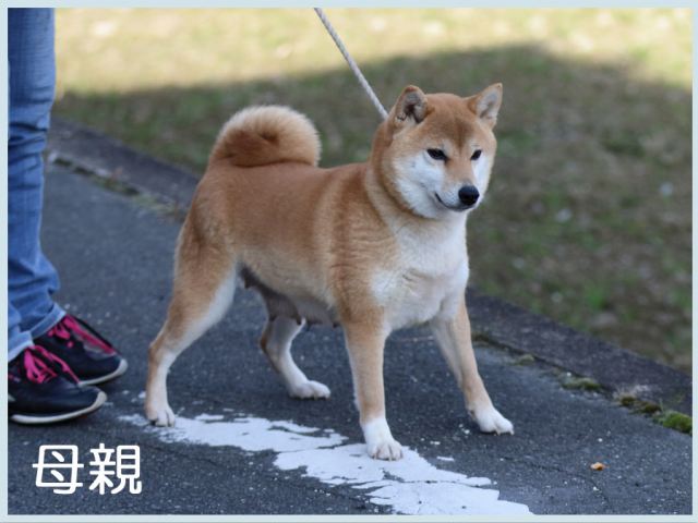 2015.12.19haha 2015.12.19haha