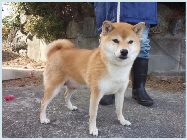 萌奈香号 萌奈香号
