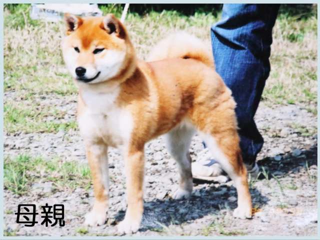 2015.1.31haha 2015.1.31haha