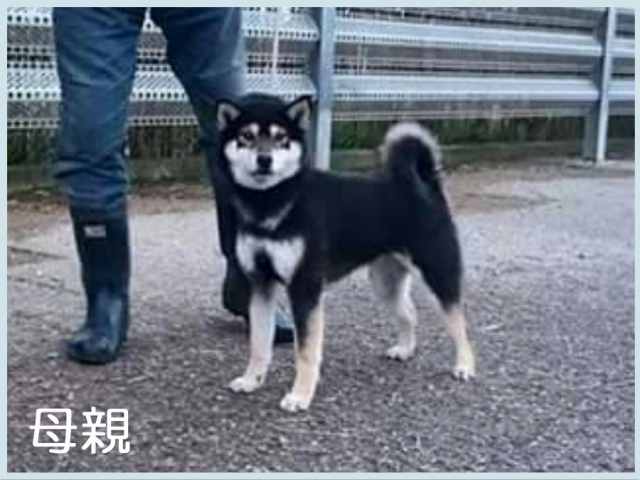 2016.2.3haha 2016.2.3haha