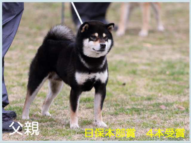 豊錦号2 豊錦号2