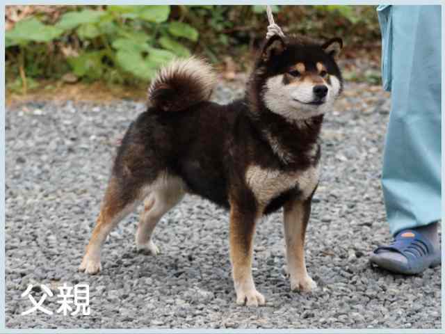 2016.3.22titi 2016.3.22titi