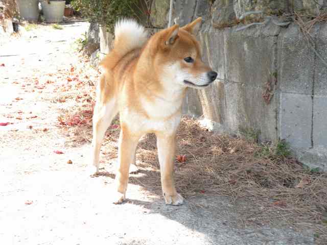 DSCN1240 DSCN1240