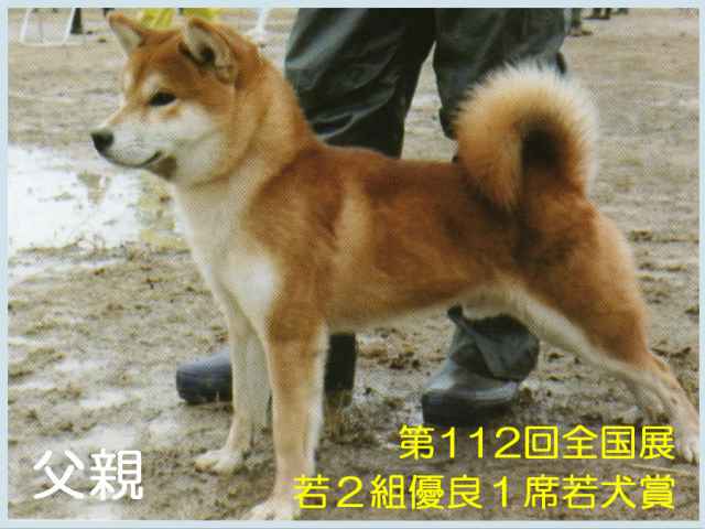 浜皇号 浜皇号