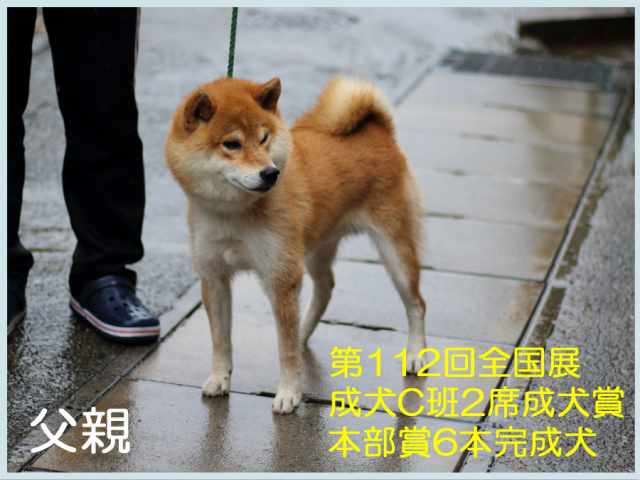 龍一丸号 龍一丸号