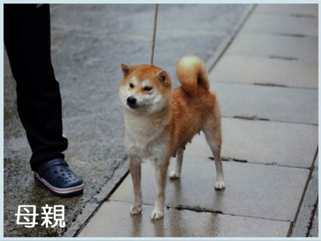 福姫号 福姫号