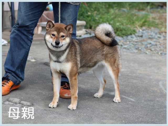 2016-7-21haha 2016-7-21haha