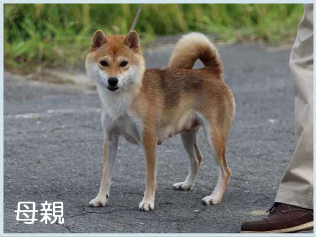 2016-8-11haha%e3%81%82%e3%82%89%e3%82%8c 2016-8-11haha%e3%81%82%e3%82%89%e3%82%8c