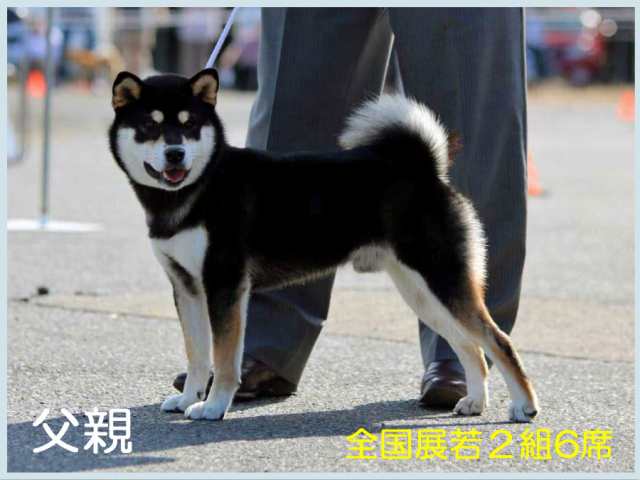2016.7.23titit仁の秋嵐号 2016.7.23titit仁の秋嵐号