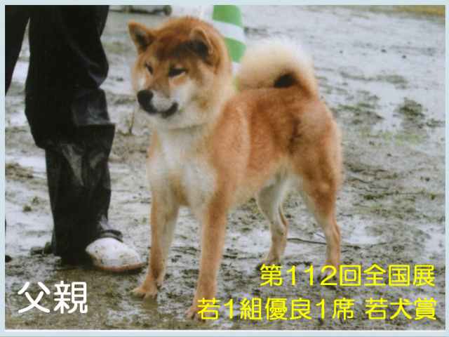 %e9%ab%98%e5%be%b3%e3%81%ae%e6%b5%9c%e5%8a%9b%e5%8f%b7 %e9%ab%98%e5%be%b3%e3%81%ae%e6%b5%9c%e5%8a%9b%e5%8f%b7