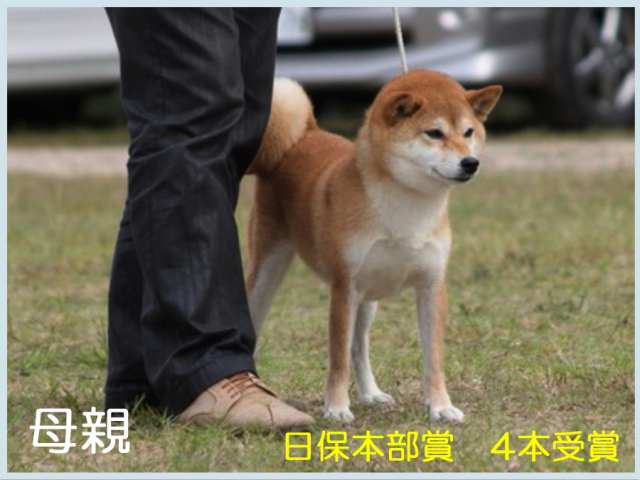 %e7%a7%80%e7%9c%9f%e7%95%99%e5%a7%ab%e5%8f%b7 %e7%a7%80%e7%9c%9f%e7%95%99%e5%a7%ab%e5%8f%b7