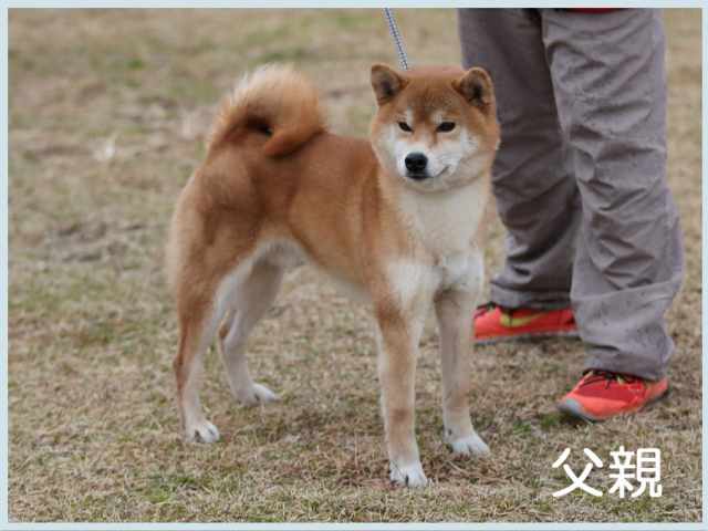 2016.11.13titi 2016.11.13titi