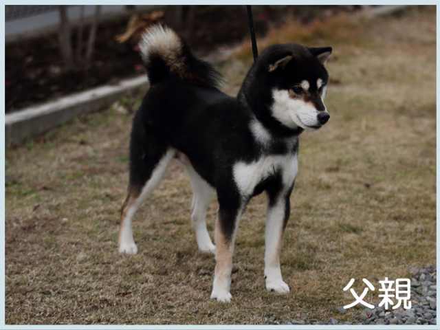 2016.11.17titi 2016.11.17titi