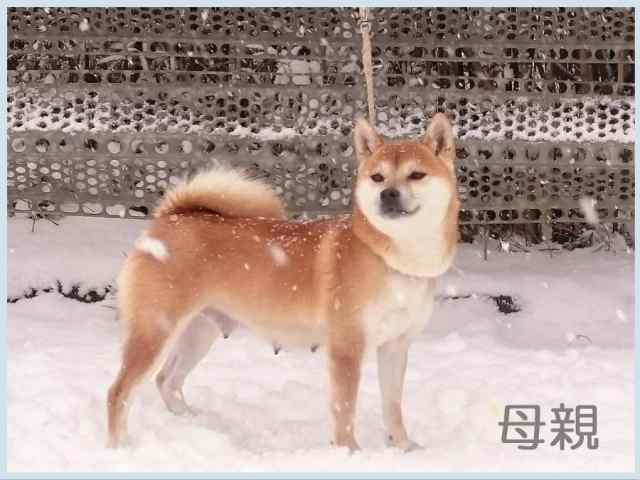 2016.12.8haha 2016.12.8haha
