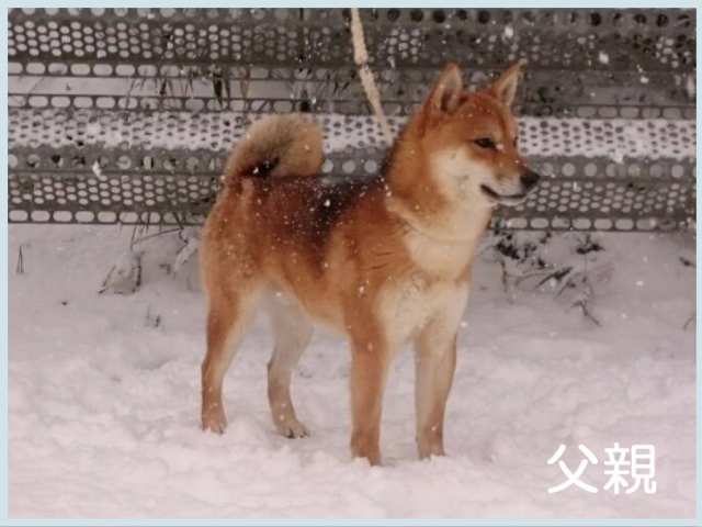 2016.12.8titi 2016.12.8titi