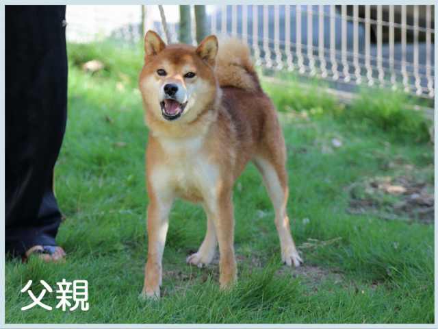 2017.2.14titi2 2017.2.14titi2