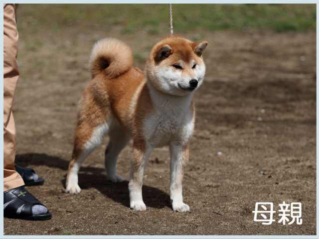 2017.2.20haha 2017.2.20haha