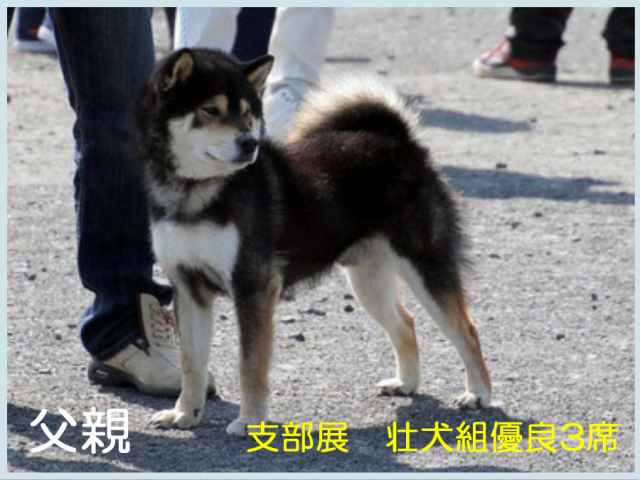 虎一丸号 虎一丸号