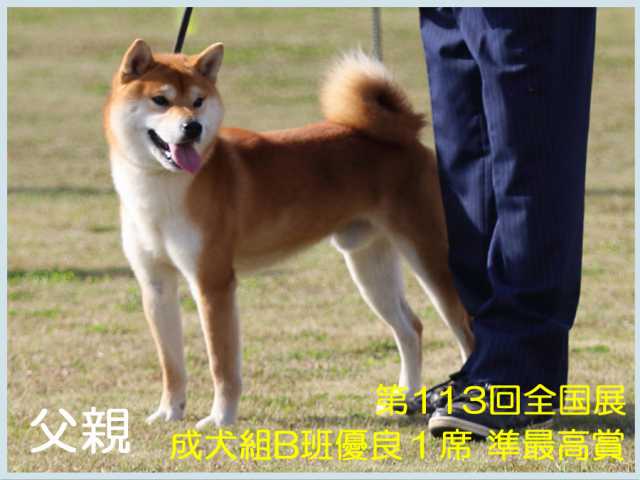 太刀王丸号 太刀王丸号