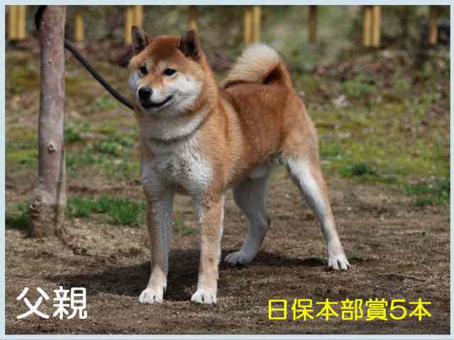 天神乃紅竜号 天神乃紅竜号