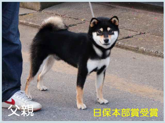 2016.8.19titi 2016.8.19titi