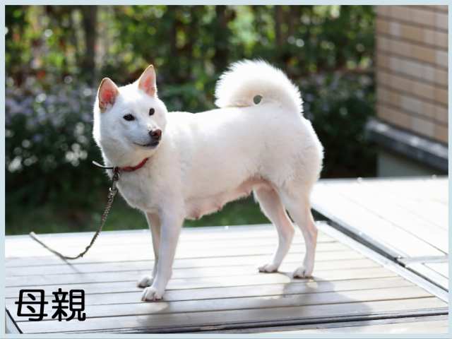 2017.4.18haha 2017.4.18haha