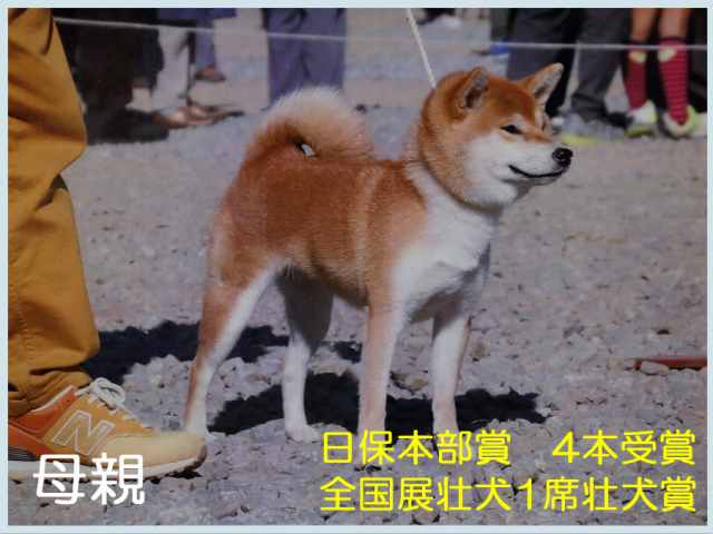 紅の美福号 紅の美福号