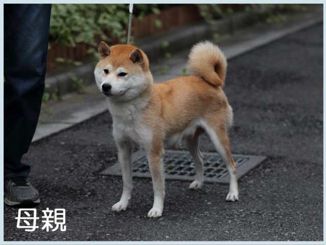美鈴号 美鈴号