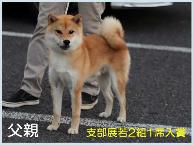 鈴貴号 鈴貴号