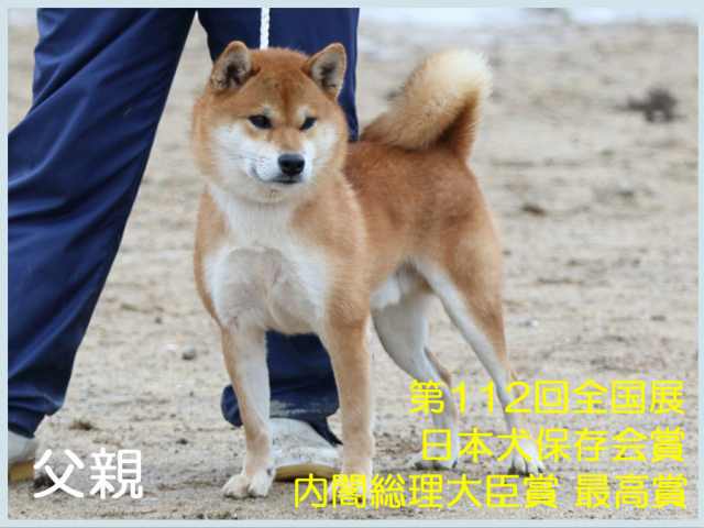 浜竜号 浜竜号