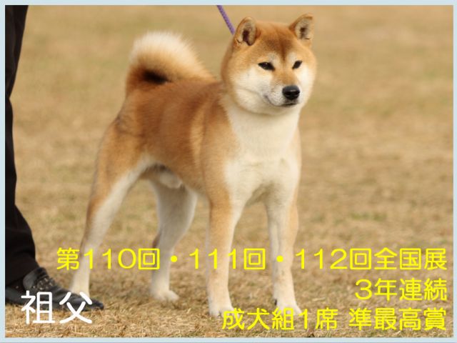 竜助号2 竜助号2