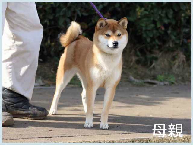 2017.7.12haha 2017.7.12haha