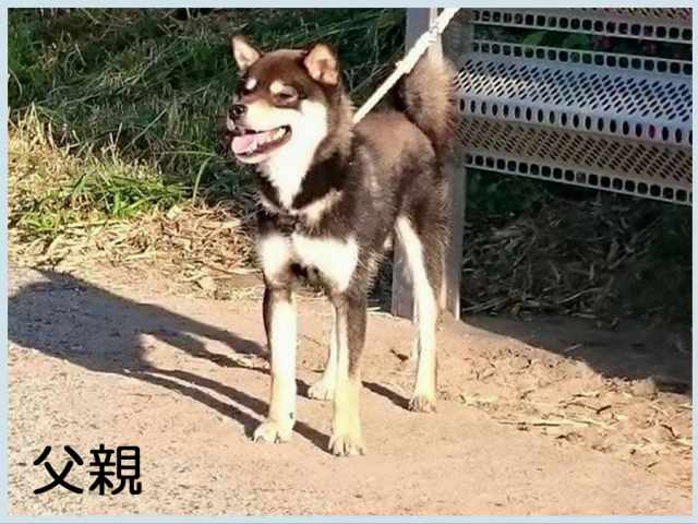 幸竜丸号 幸竜丸号