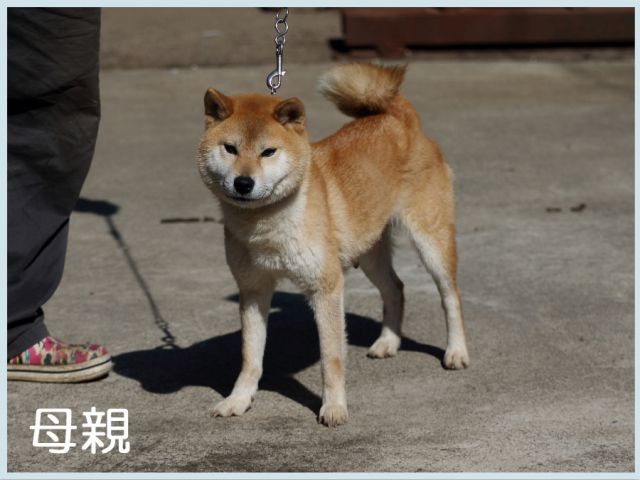野州之瞳号 野州之瞳号