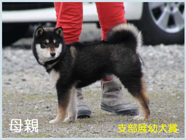 天穹乃舞姫号 天穹乃舞姫号