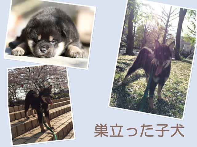 sudati2419 sudati2419