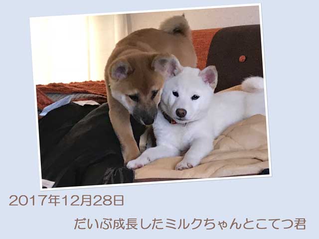 sudati3239白♀ミルク3 sudati3239白♀ミルク3