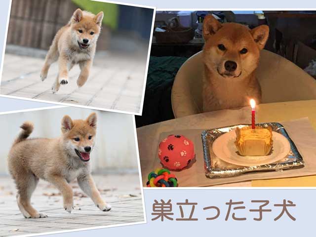 sudati3128赤♂タキ sudati3128赤♂タキ