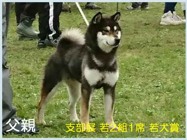 那須ノ嵐丸号 那須ノ嵐丸号