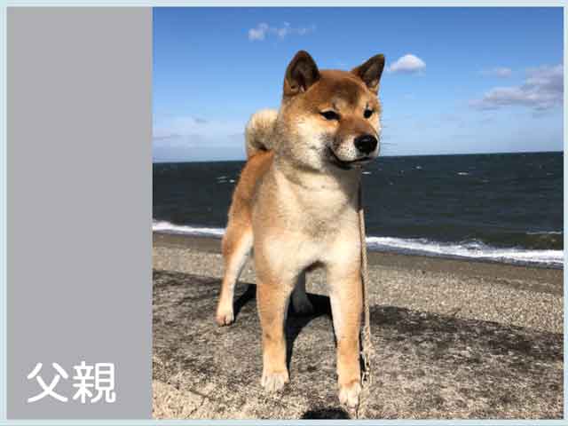 優樹号 優樹号