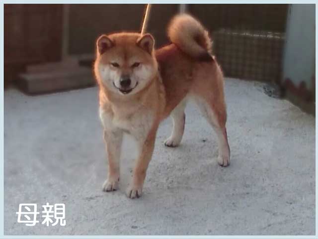 2018.3.12haha 2018.3.12haha